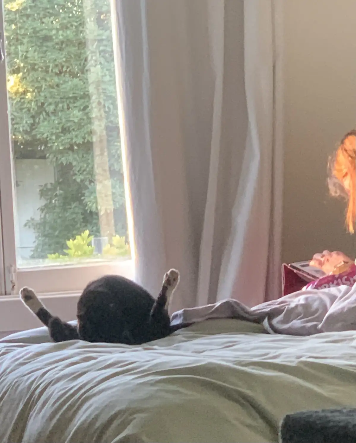 Caught my wife glancing at the Charcoal Chicken on the bed - what a moment!