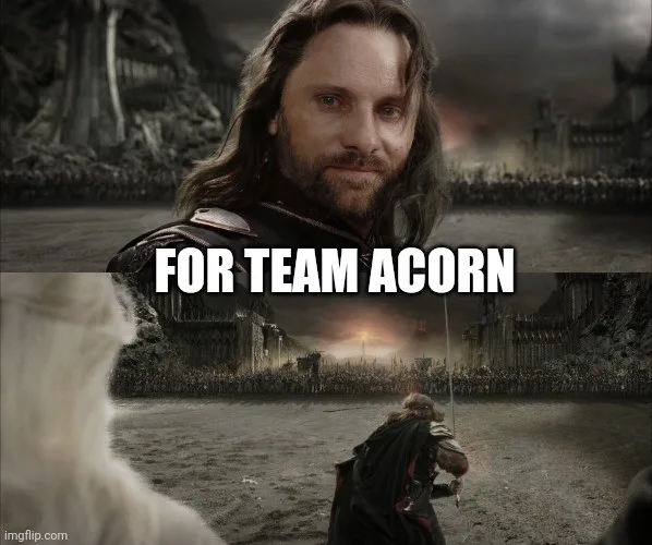 A still from 'The Lord of the Rings' shows Aragorn looking determined as he faces an enemy army. The text 'FOR TEAM ACORN'…