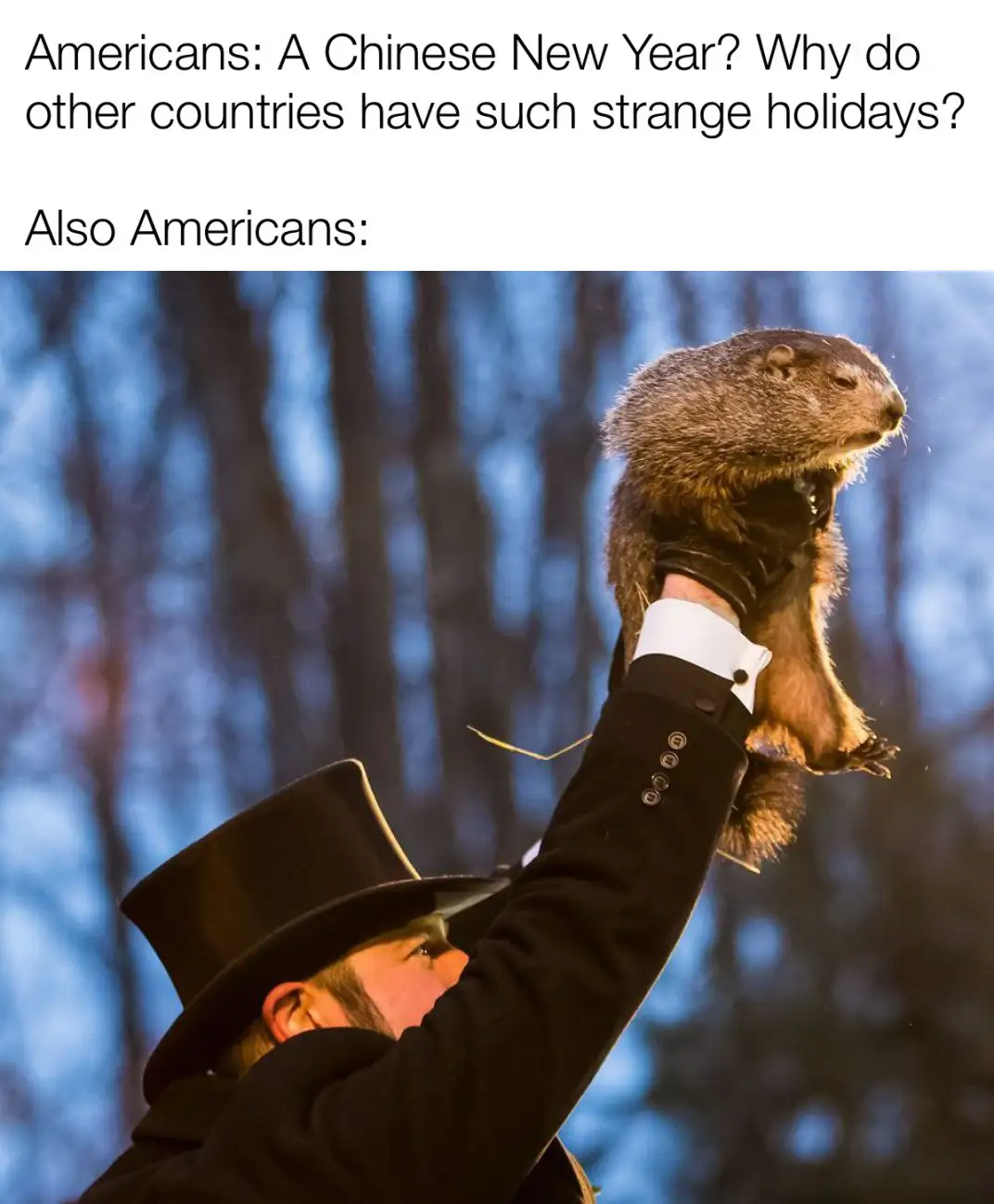 A man in a top hat and formal coat holds up a groundhog against a blurred blue forest background. The overlaid text reads…