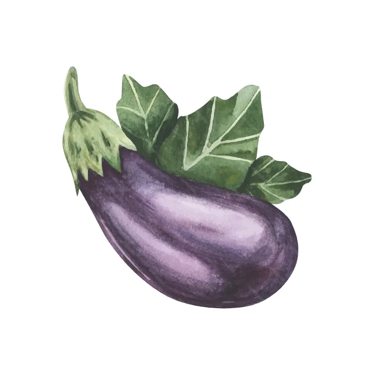 A watercolor illustration of a single purple eggplant with green stem and leaves against a plain white background. The image…