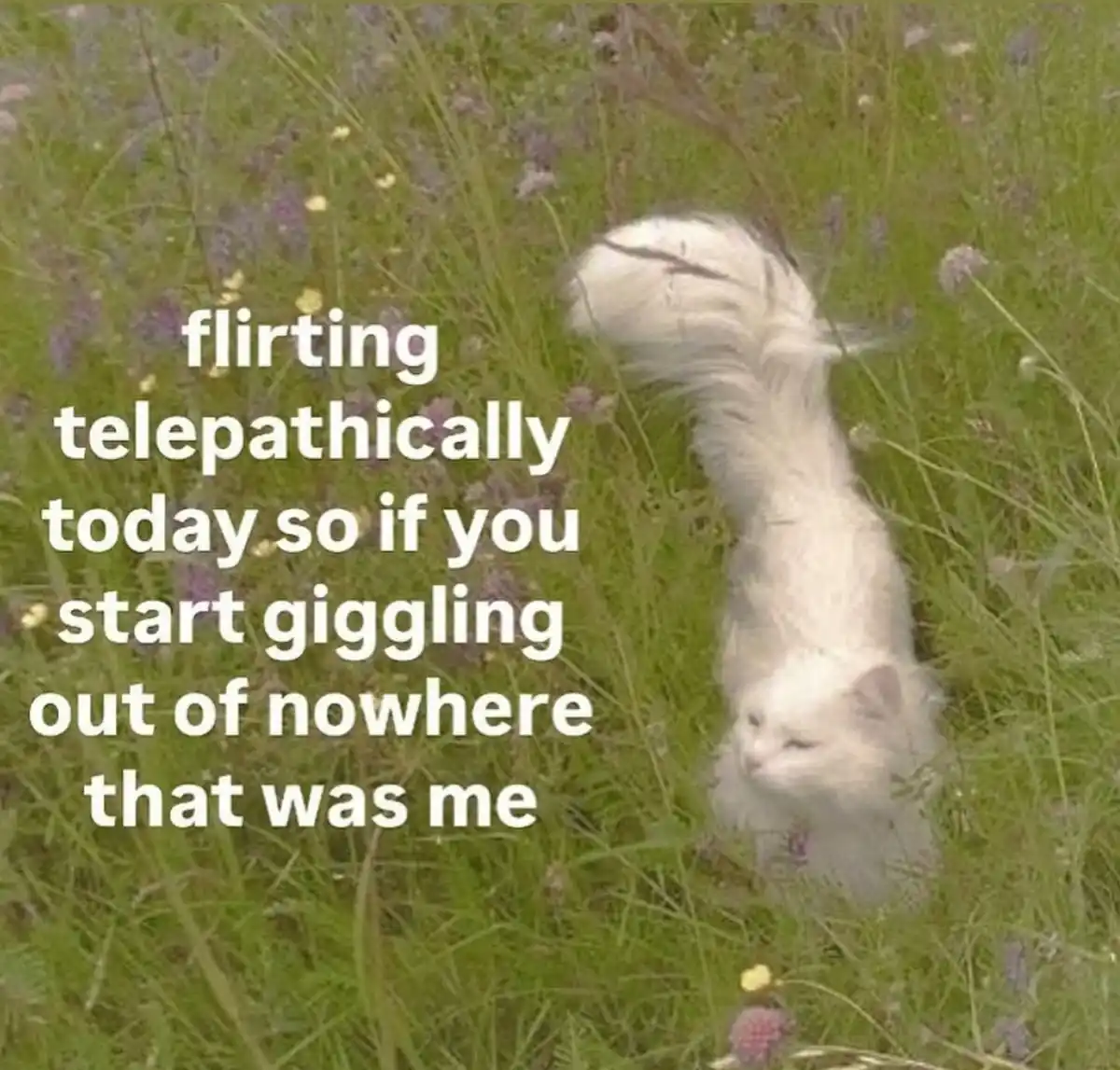 Memes You’ve Likely Encountered Before: A Nostalgic Collection
