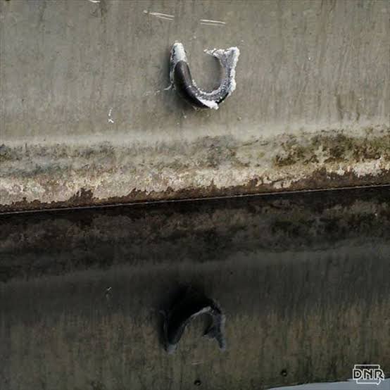A close-up photo shows a U-shaped metal hook embedded in a weathered, rusty metal surface, with its reflection visible in a…