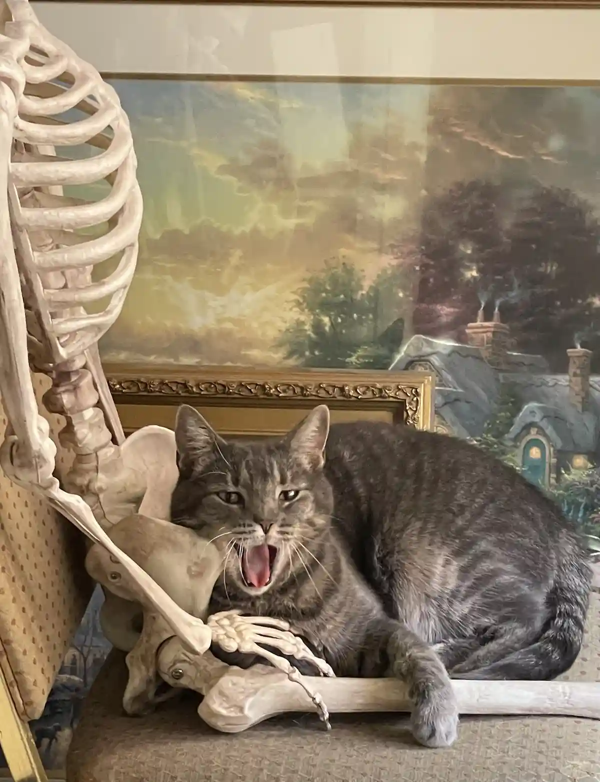 Viktor's Unwavering Quest for a Cozy Lap