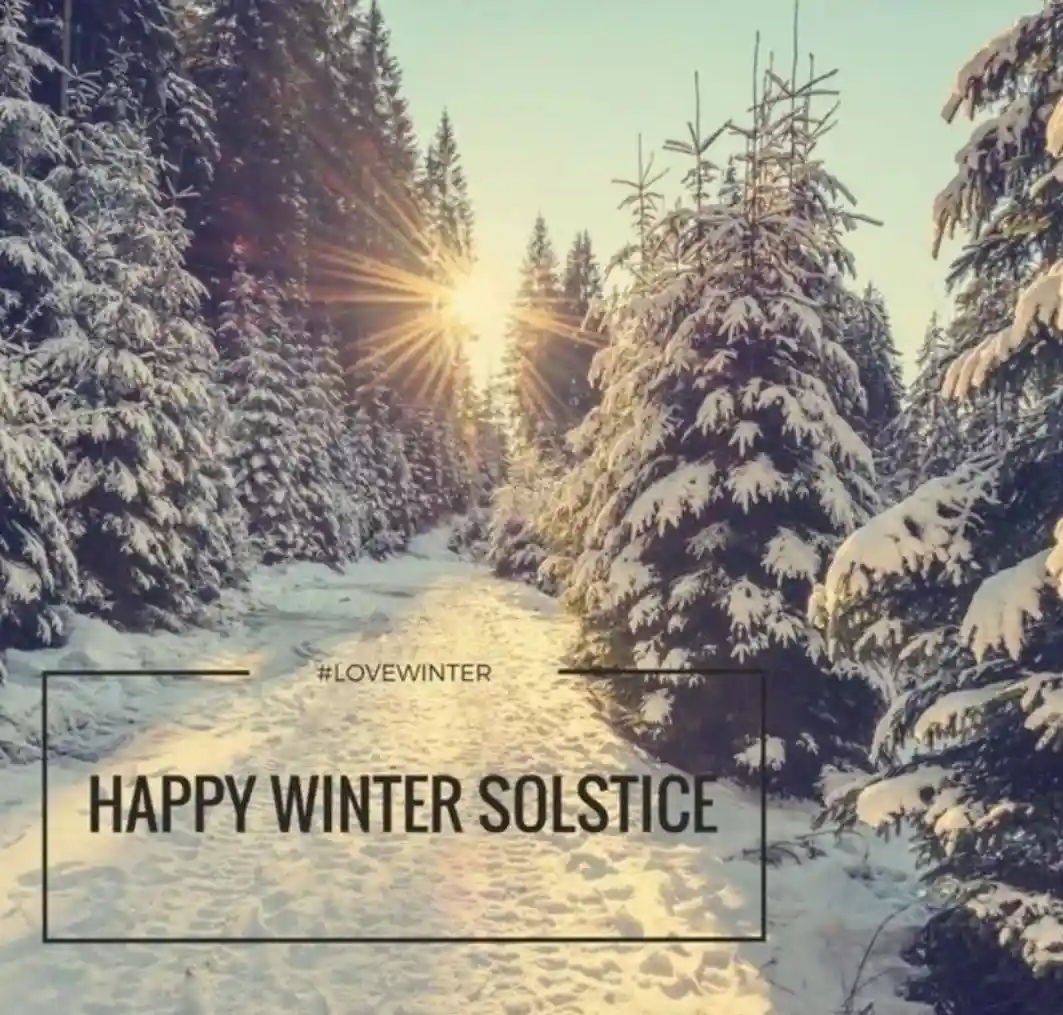 A serene winter scene shows a snow-covered path winding through a forest of snow-laden evergreen trees, with the sun shining…