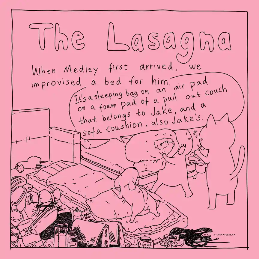 A pink-toned cartoon depicts a messy room with a dog named Medley sleeping on a pile of improvised bedding including a…
