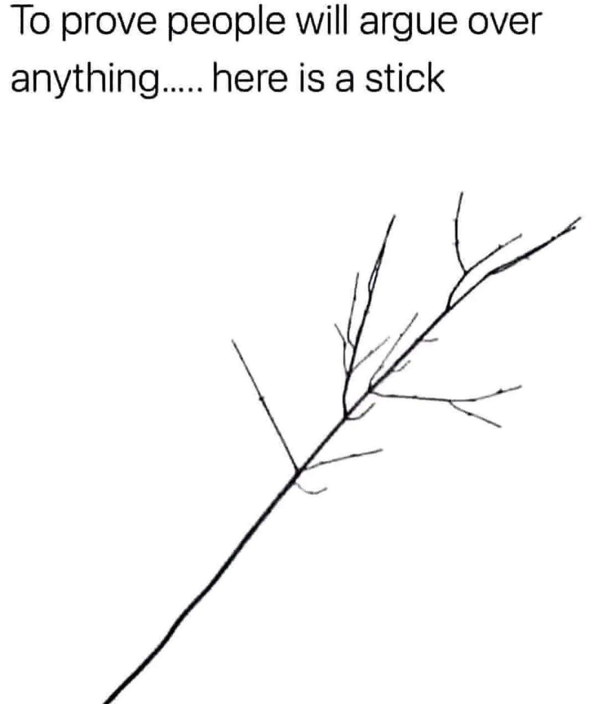 Just a simple twig, nothing more