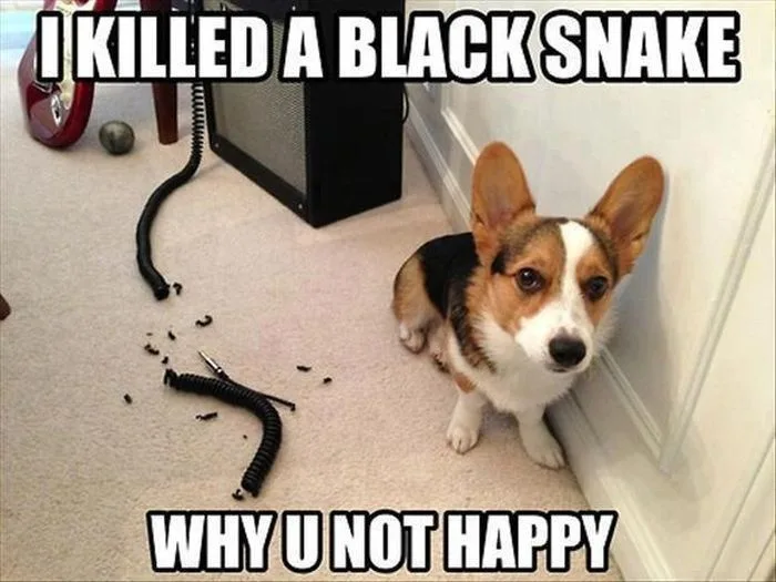 How Would You React in This Situation?