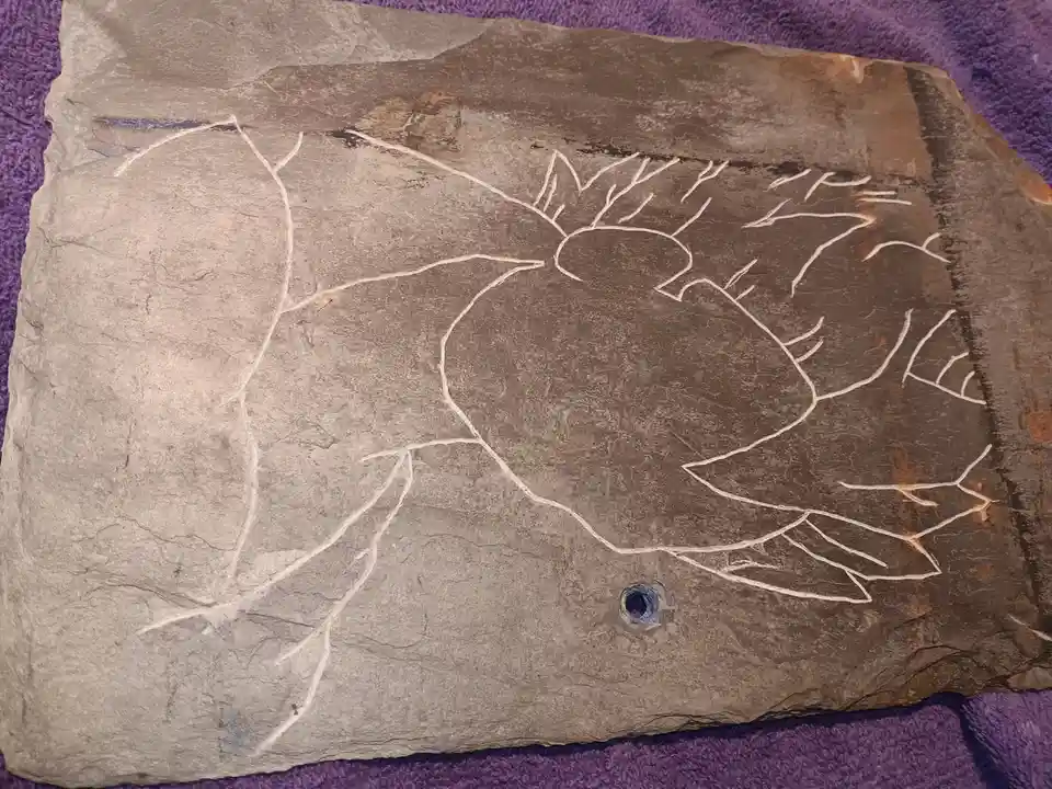 A rough, gray stone slab with white chalk or paint drawings of a bird in flight, its wings spread and tail feathers…