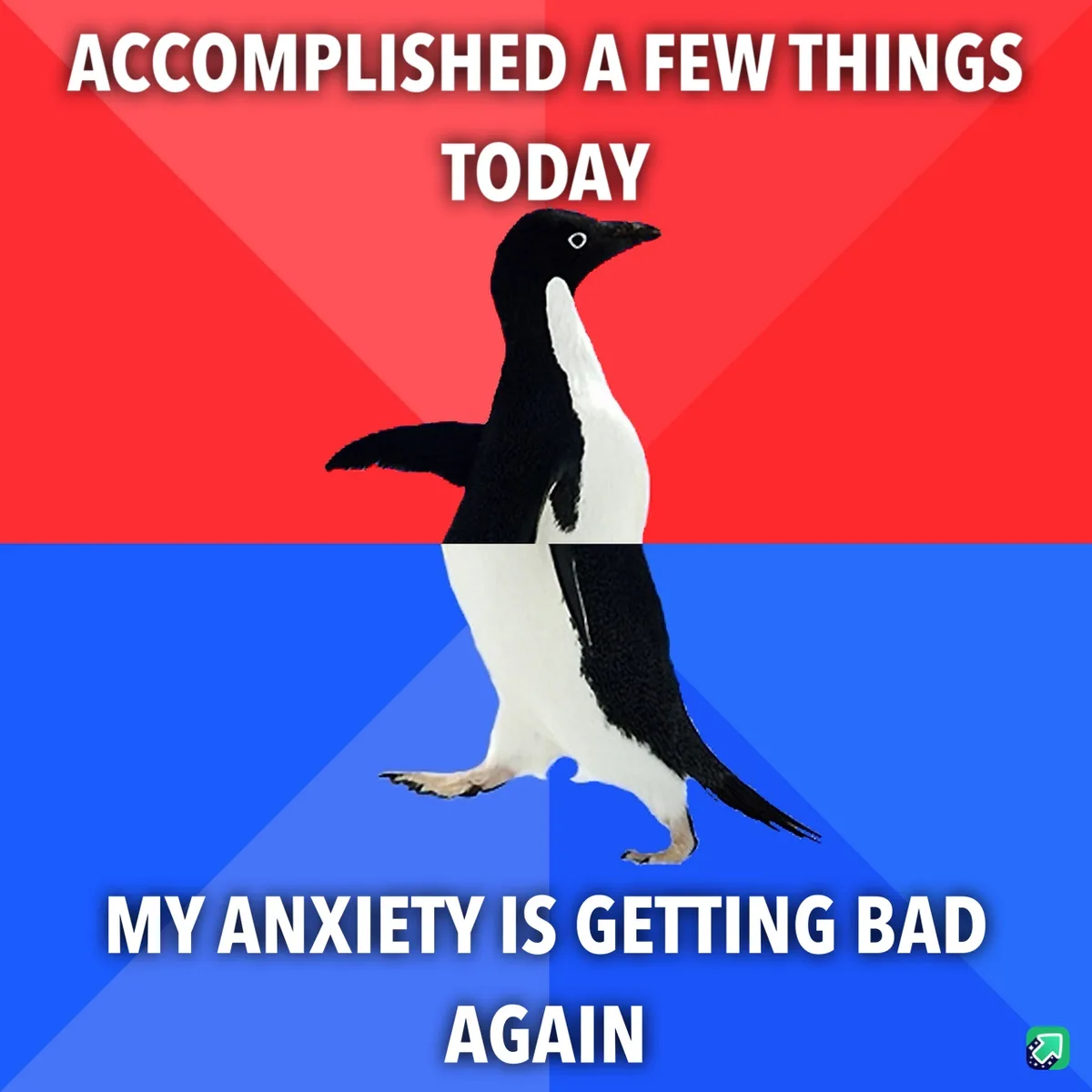 A black-and-white penguin stands centered against a red-and-blue background, with white text overlaid. The top text reads…