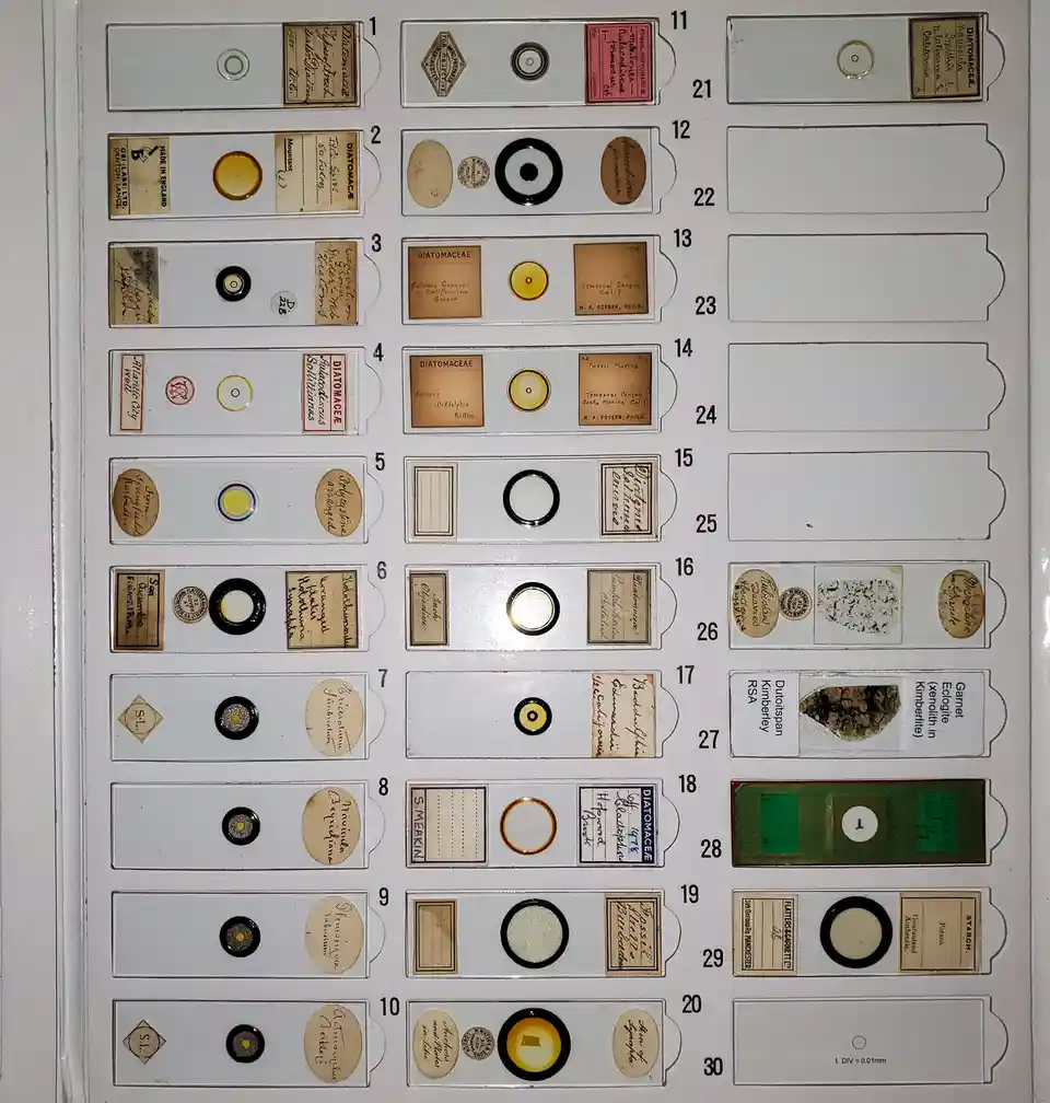 Exploring the Wonders of an Antique Microscope Slide Collection