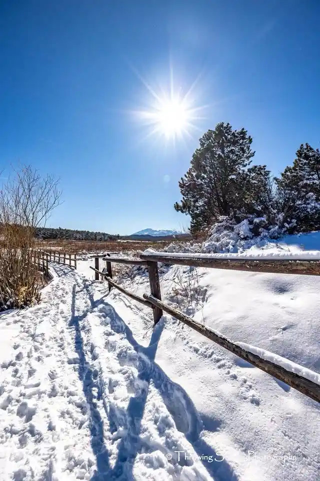 A bright, starburst sun shines over a snowy landscape with a wooden fence and footprints in the snow. The sky is clear blue…