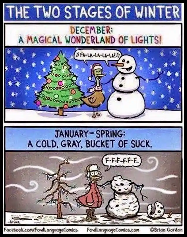 A two-panel comic titled 'THE TWO STAGES OF WINTER'. The top panel shows a festive December scene with a snowman and a duck…