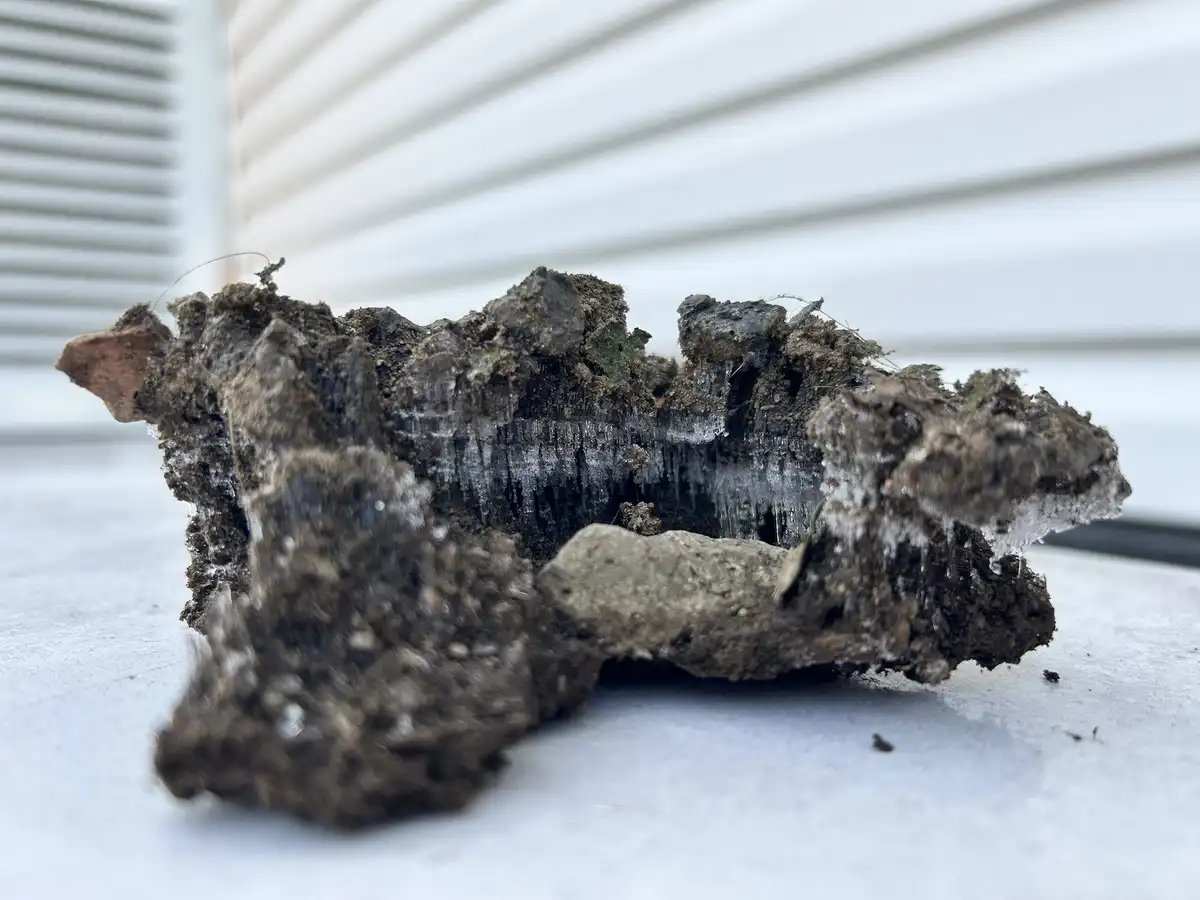 A close-up photo shows a clump of dark, muddy soil with crystalline ice formations dripping from its center, resting on a…