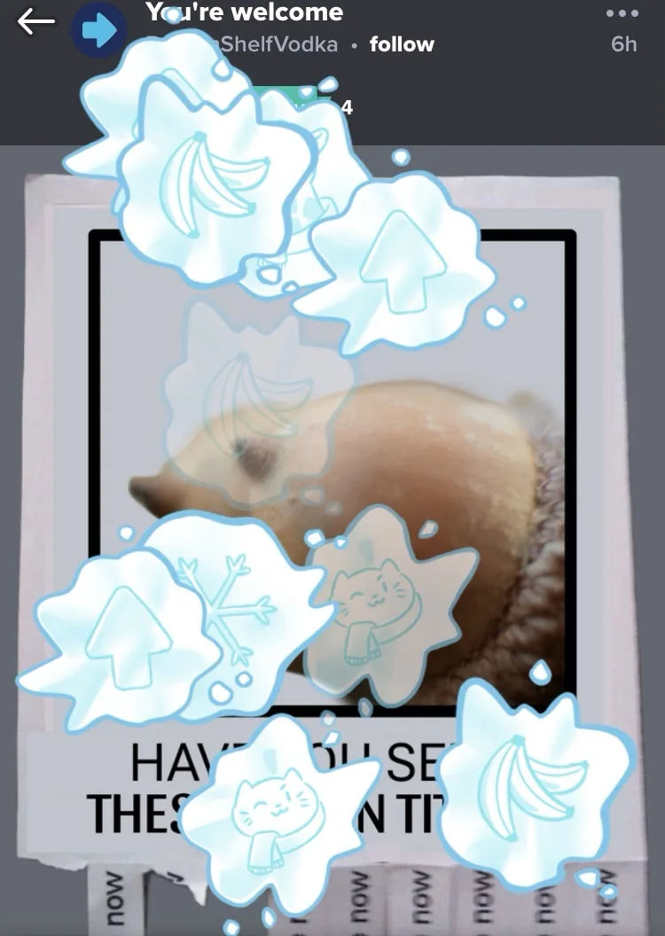A polaroid-style photo of a brown animal's head, partially obscured by translucent, light-blue, star-shaped bubbles…