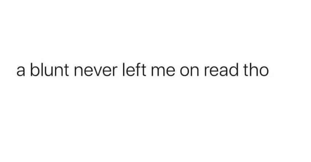 The image is a plain white background with black text centered that reads 'a blunt never left me on read tho'. There are no…