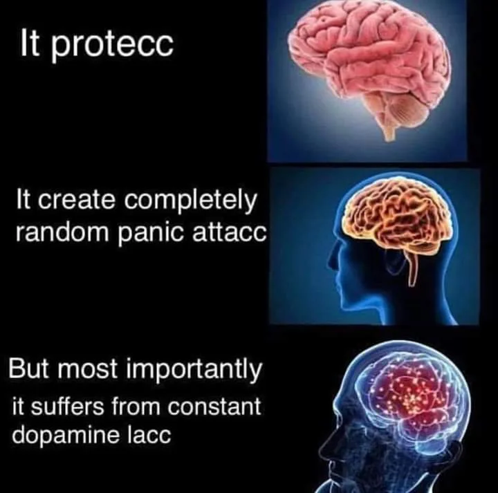 The image displays three panels showing a human brain in progressively more distressed states: first as a normal brain, then…