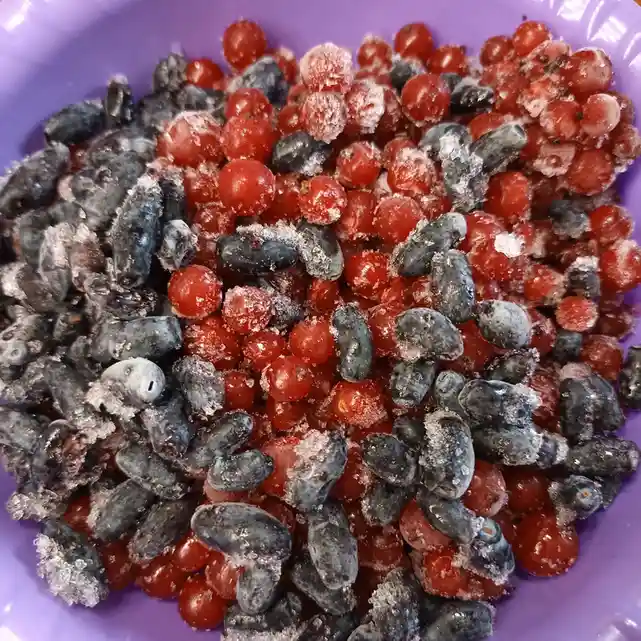 A close-up photo shows a purple bowl filled with frozen blueberries and red raspberries, both coated in frost and ice…