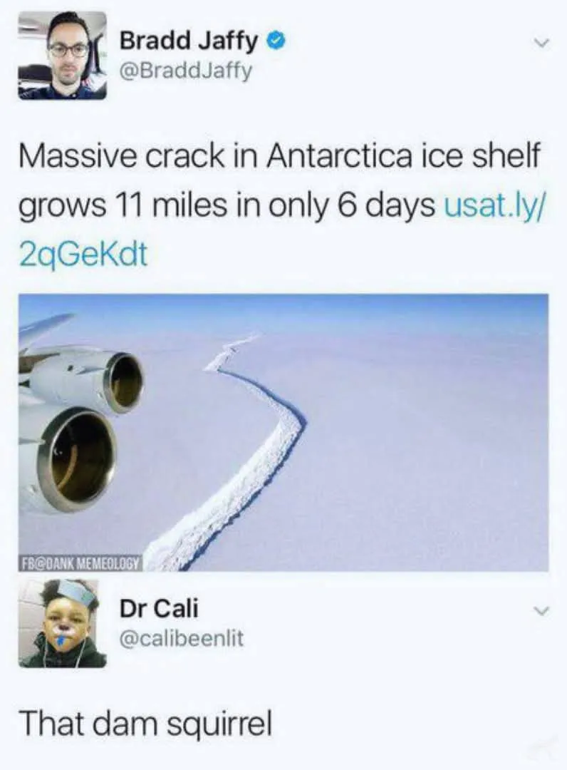 A screenshot of a tweet by Bradd Jaffy showing an aerial photo of a large crack in an Antarctic ice shelf, with the text…