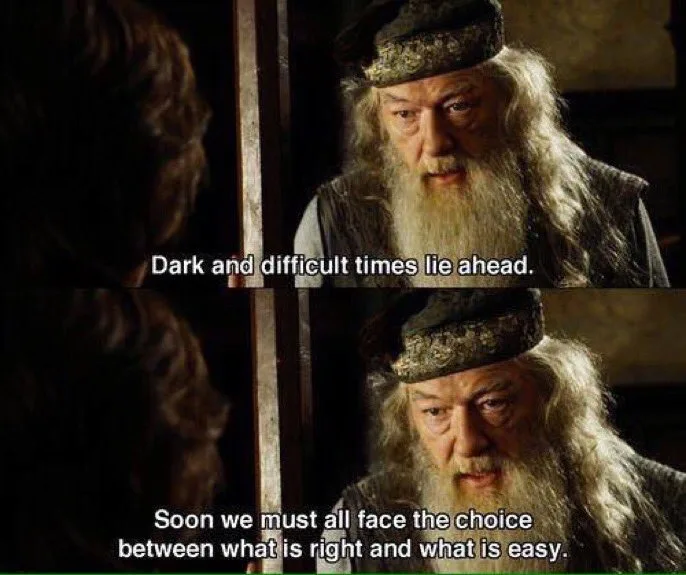 The image is a two-panel meme featuring the character Albus Dumbledore from the Harry Potter films. In the top panel, he…
