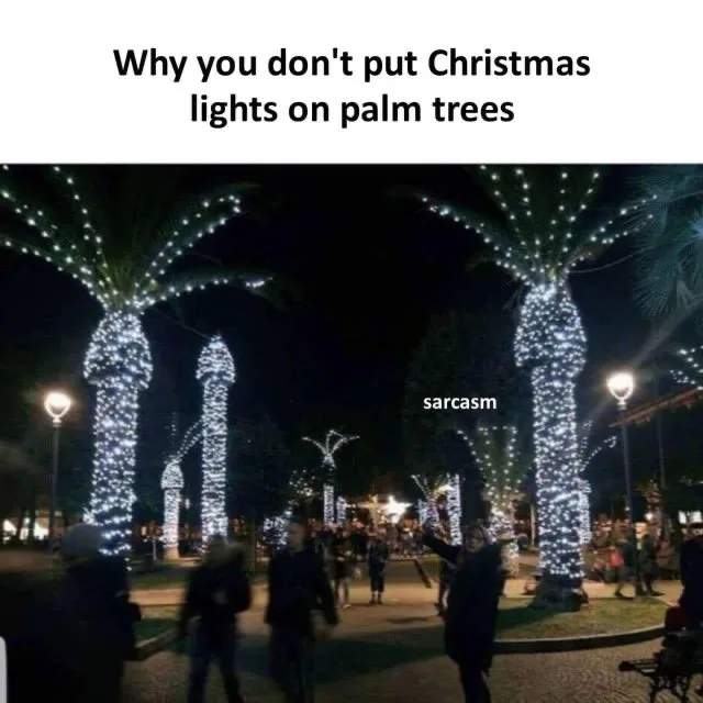 A nighttime photo of palm trees decorated with strings of white Christmas lights, with people walking around in a park. The…