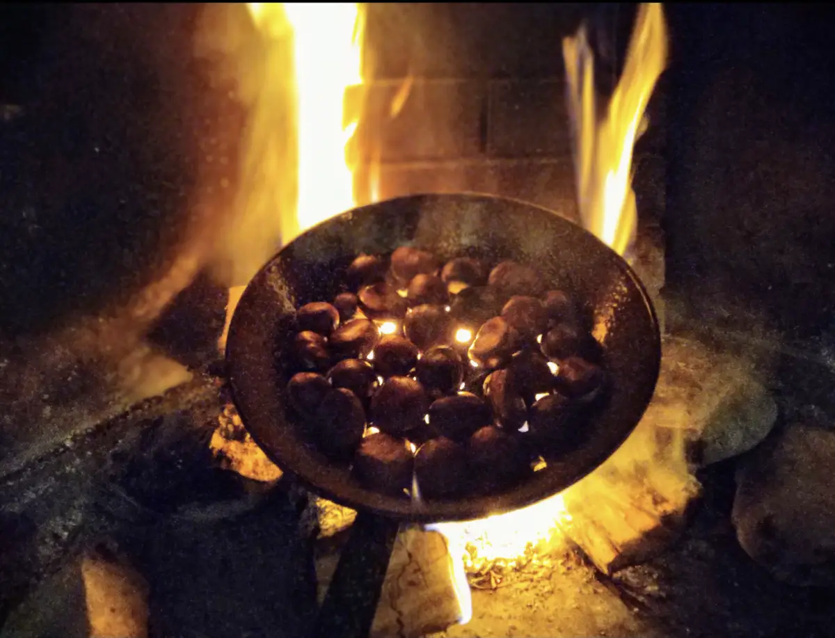 Forget the acorns and pinecones! It's time to upvote chestnuts!