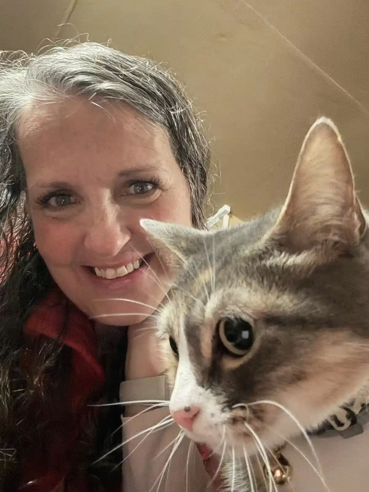 A woman with dark, wavy hair and a red top smiles broadly at the camera while holding a gray and white cat close to her…