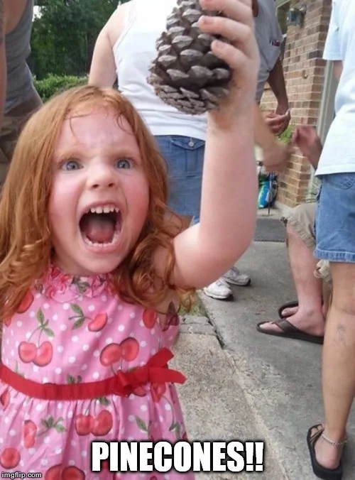 A young girl with red hair and a pink cherry-patterned dress is screaming excitedly while holding up a large pinecone. She…