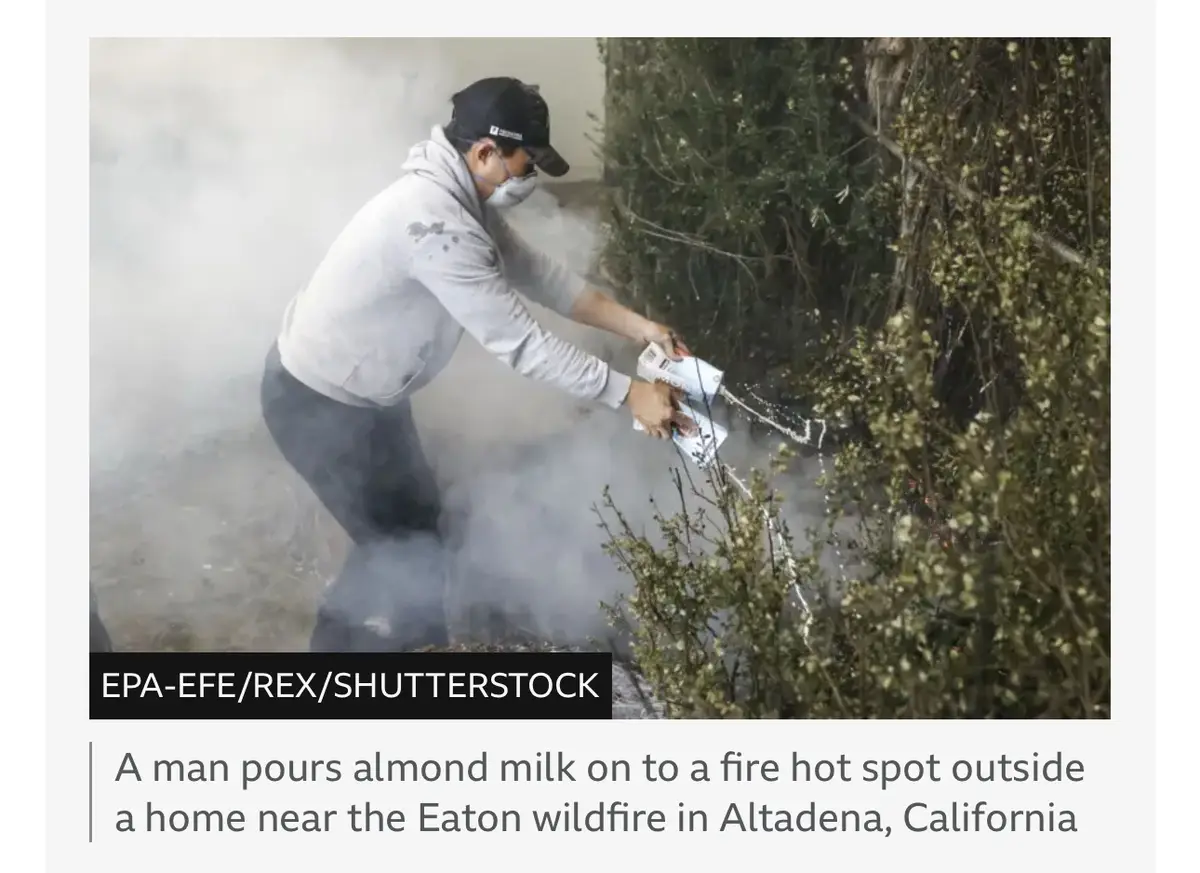 A man wearing a grey hoodie, black cap, and face mask is pouring almond milk from a carton onto a smoky fire hotspot near…