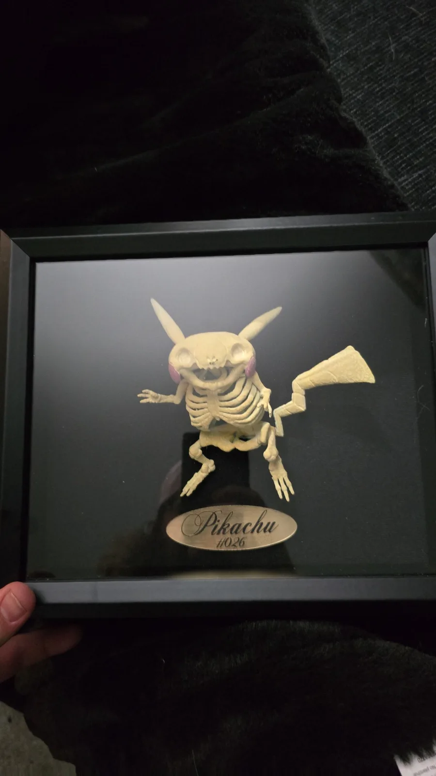 A framed display case holds a beige plastic skeleton model of the Pokémon Pikachu, posed mid-jump with its signature ears…