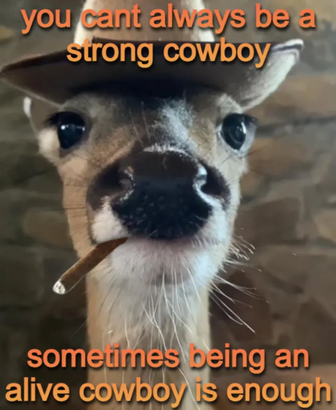 Meme dump 587: Embrace the cowboy vibes