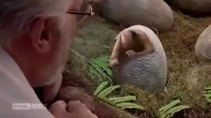 A man with glasses and a beard leans over a grassy area, looking intently at a small, furry, egg-shaped creature with a long…