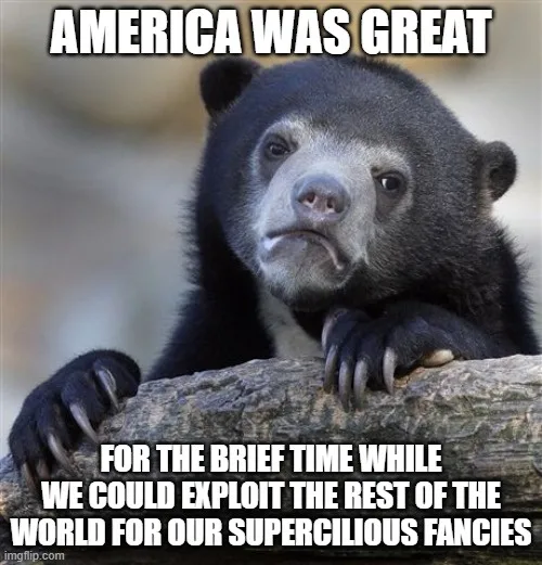 A black bear with a sad, resigned expression rests its paws on a log. White bold text overlaid at the top reads 'AMERICA WAS…