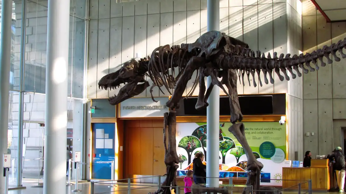 Exploring Wonders at The California Academy of Sciences