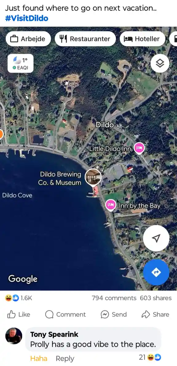 A screenshot of a Google Maps view showing a coastal town named 'Dildo' with nearby locations like 'Dildo Brewing Co. &…