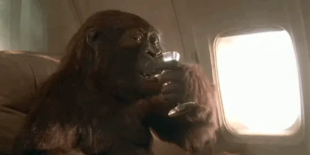 A sequence of six panels shows a large, realistic-looking gorilla sitting in an airplane seat, holding a glass and drinking…