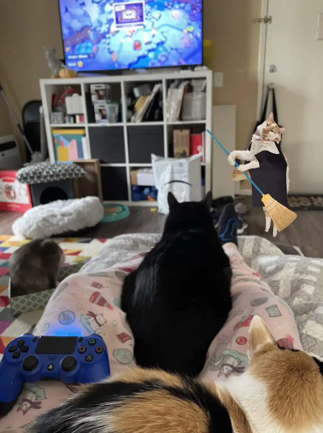 A person lies on a bed with three cats around them, watching a video game on a TV. A digitally added cat wearing an apron…