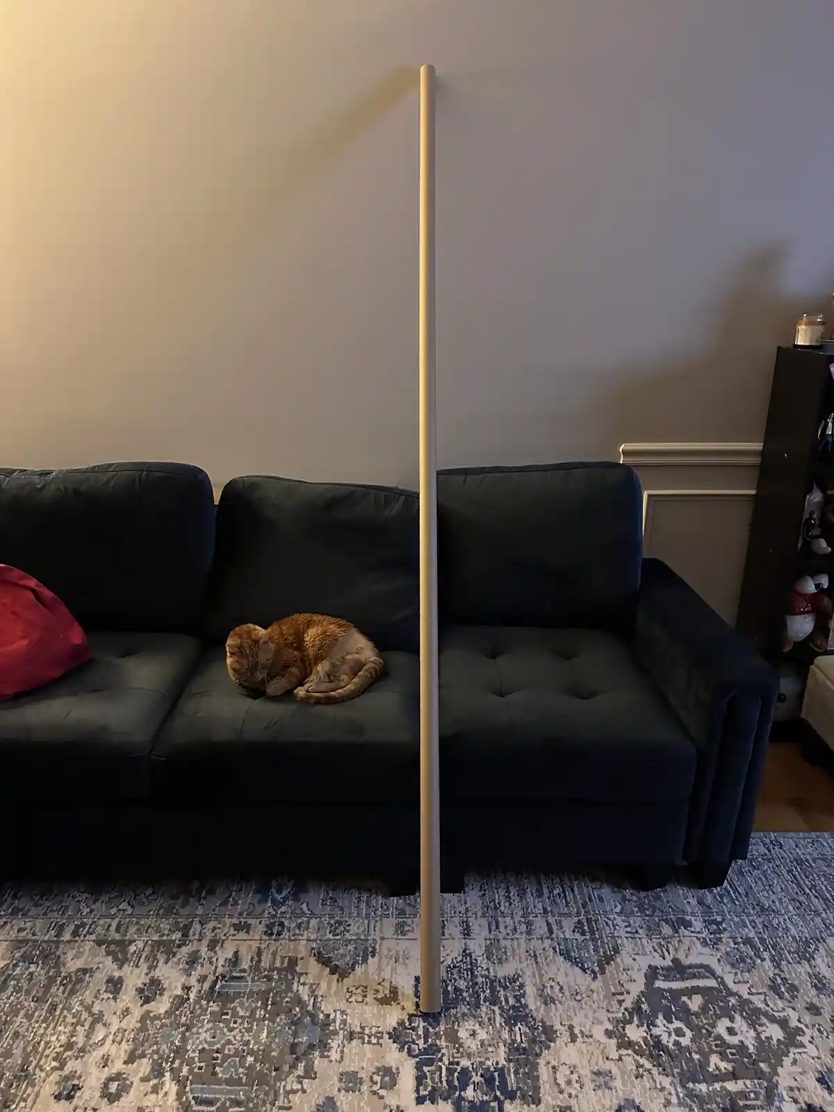 A ginger cat sleeps curled up on the left side of a dark blue couch, while a tall, light-colored pole stands vertically down…