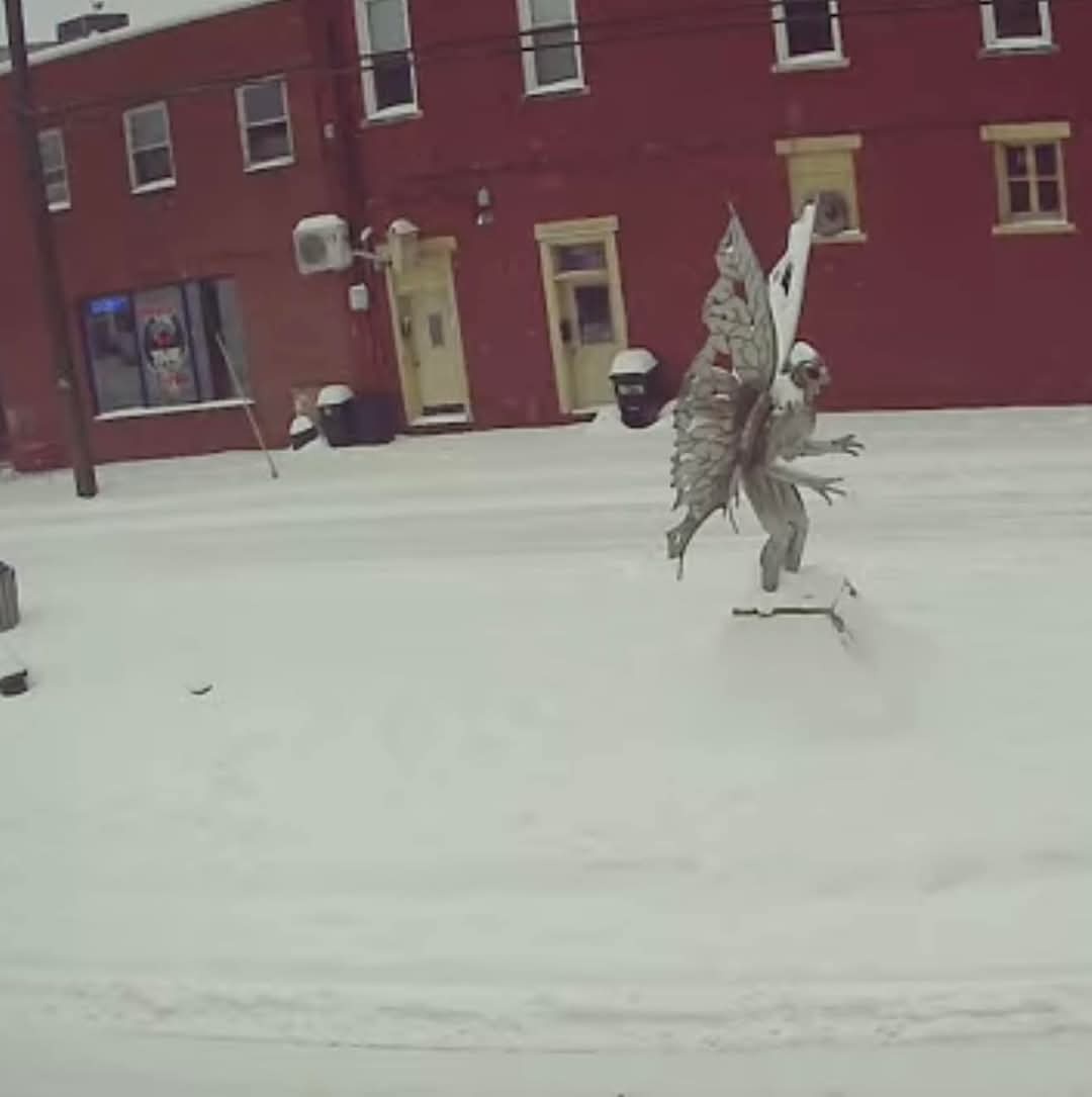 Everyone's curious about road conditions, but what about Mothman? How's he doing?