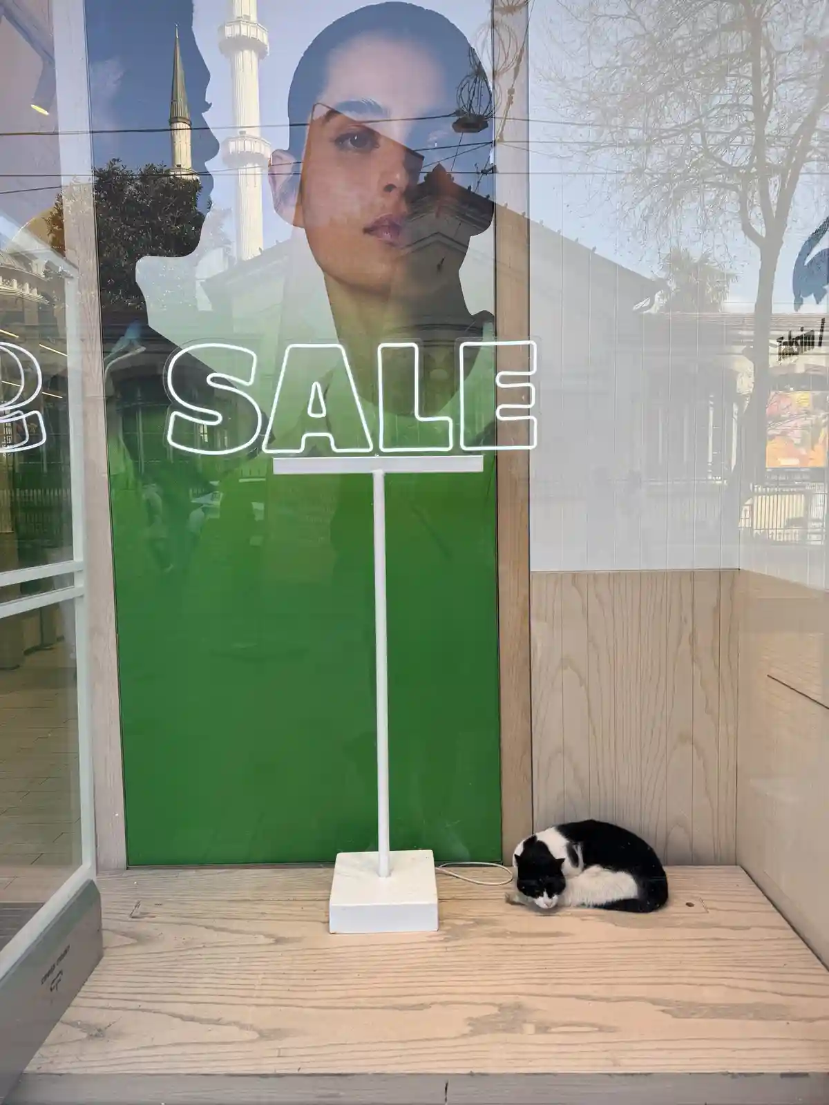 A black and white cat sleeps peacefully on a wooden storefront ledge next to a white neon 'SALE' sign. The glass window…
