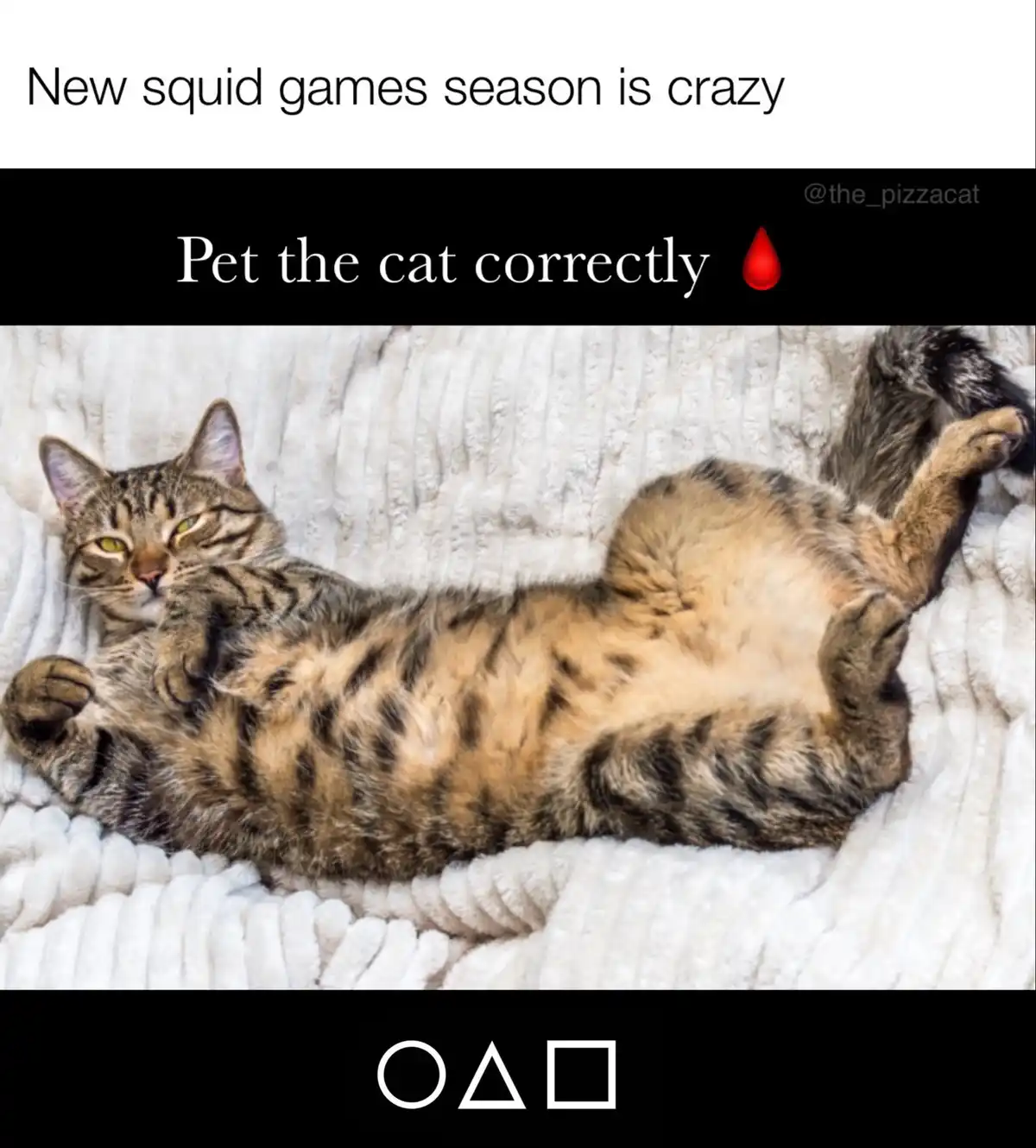 A tabby cat lies on its back on a white textured blanket, exposing its belly and paws while looking at the camera with a…