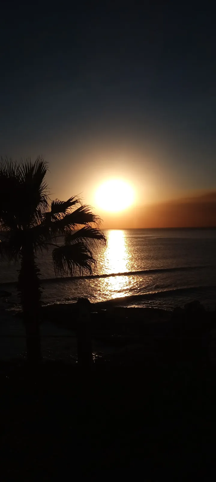 A serene sunset over the ocean with a palm tree silhouette on the left, the sun low on the horizon casting a golden glow on…