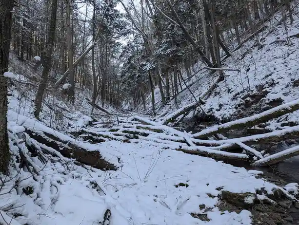A snowy forest scene with fallen logs and a stream, overlaid with the text 'i'm not lazy, i'm in energy-saving mode'. The…