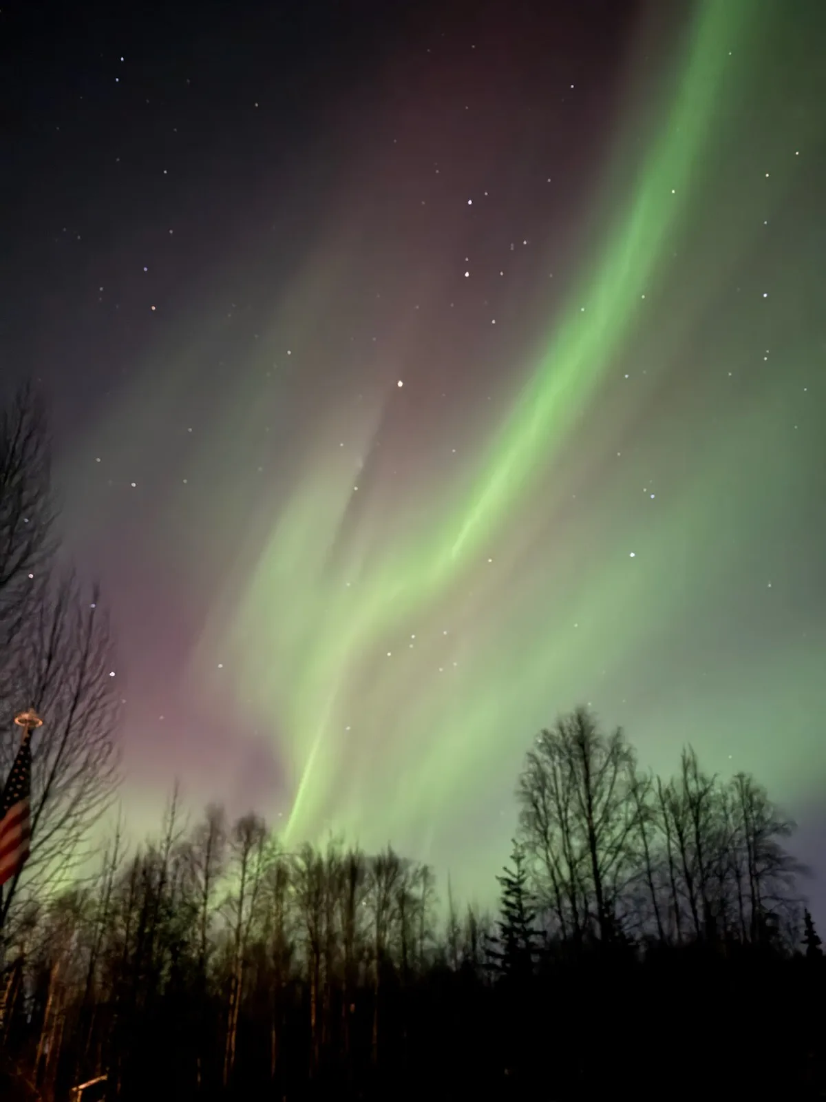 New Year's Magic: The Stunning Aurora Borealis Captured in Alaska