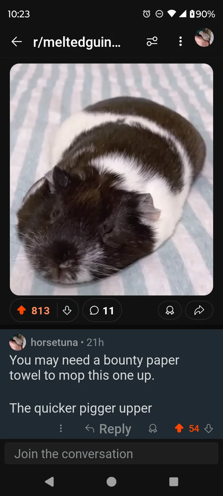 A black and white guinea pig is curled up sleeping on a striped blanket. Overlaid text reads 'You may need a bounty paper…