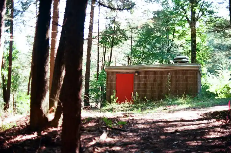 A small, brown brick building with a bright red door sits in a sun-dappled forest, surrounded by tall trees and overgrown…