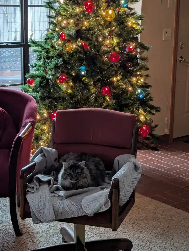 Happy Holidays and Merry Christmas to All!