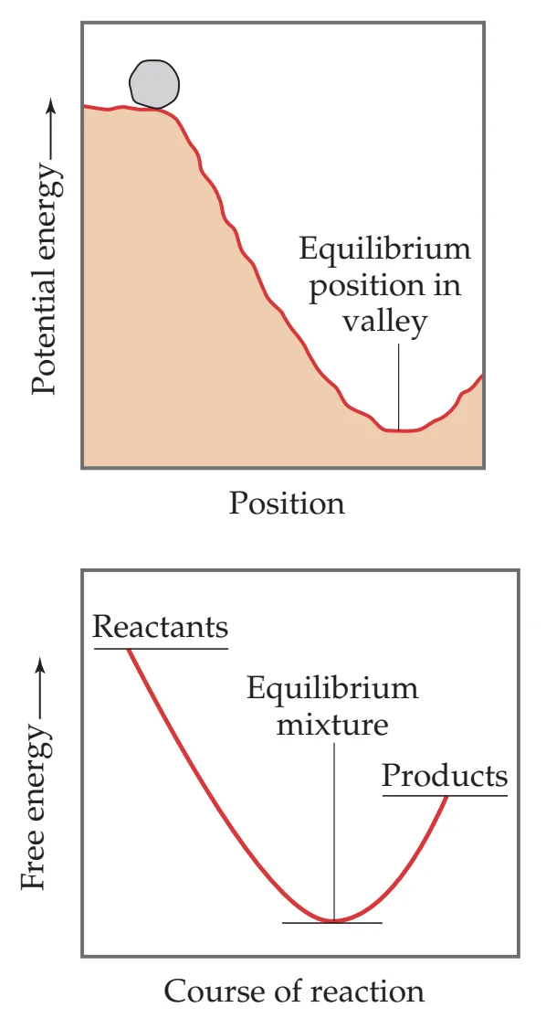 The image displays two scientific diagrams: the top shows a potential energy graph with a grey ball at the peak labeled…