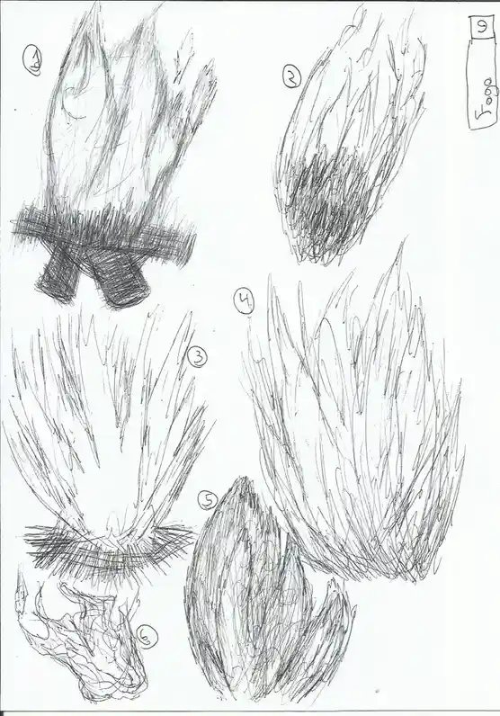 A hand-drawn sketch shows six numbered variations of a stylized, spiky, flame-like or hair-like shape, with a seventh…
