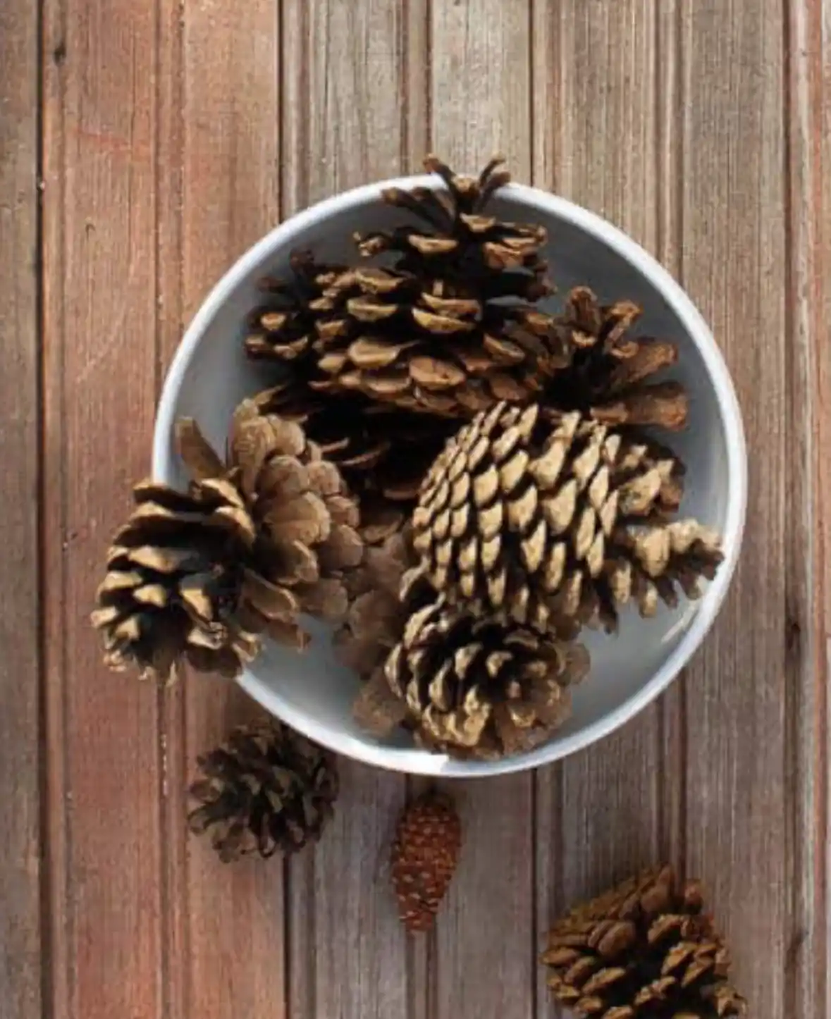A top-down view shows a white ceramic bowl filled with various sizes of brown pine cones, resting on a rustic wooden…
