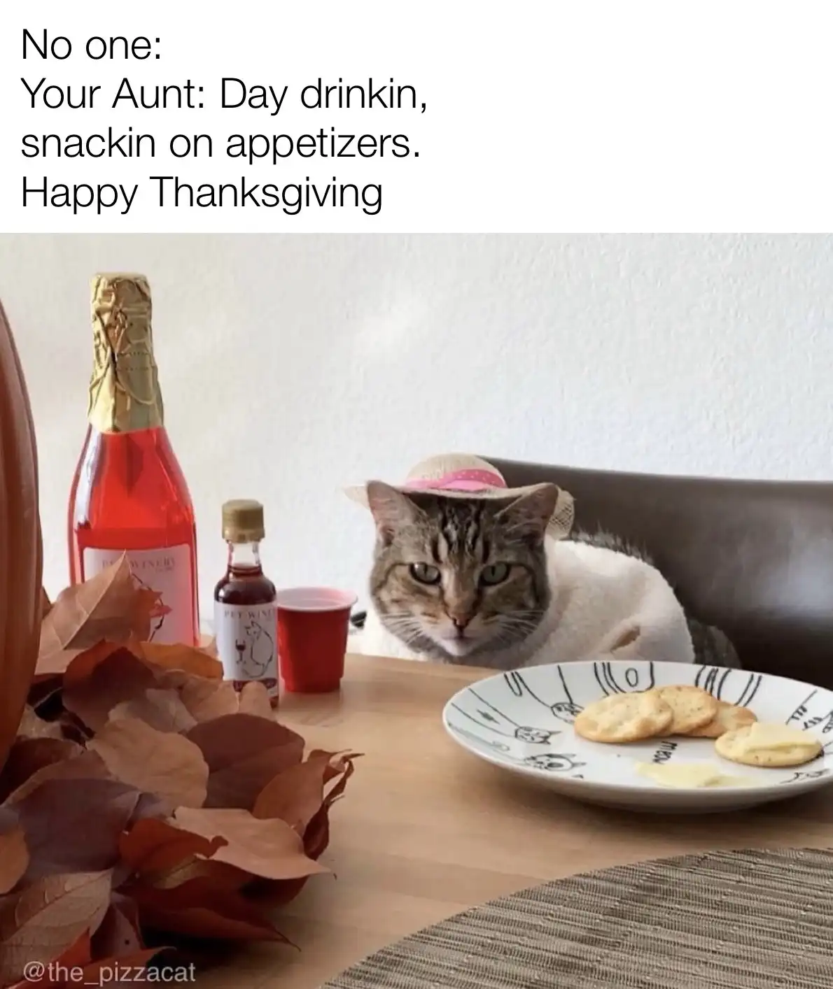 A tabby cat wearing a small straw hat sits at a wooden table, looking directly at the camera with a bored expression. On the…